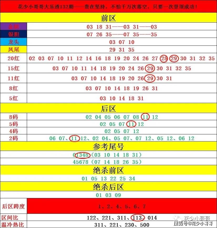 新澳门今晚开奖结果号码准确资料解释与落实