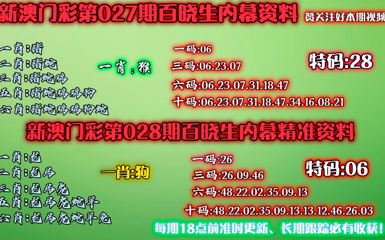 澳门精准一肖一码一一中，解答解释落实